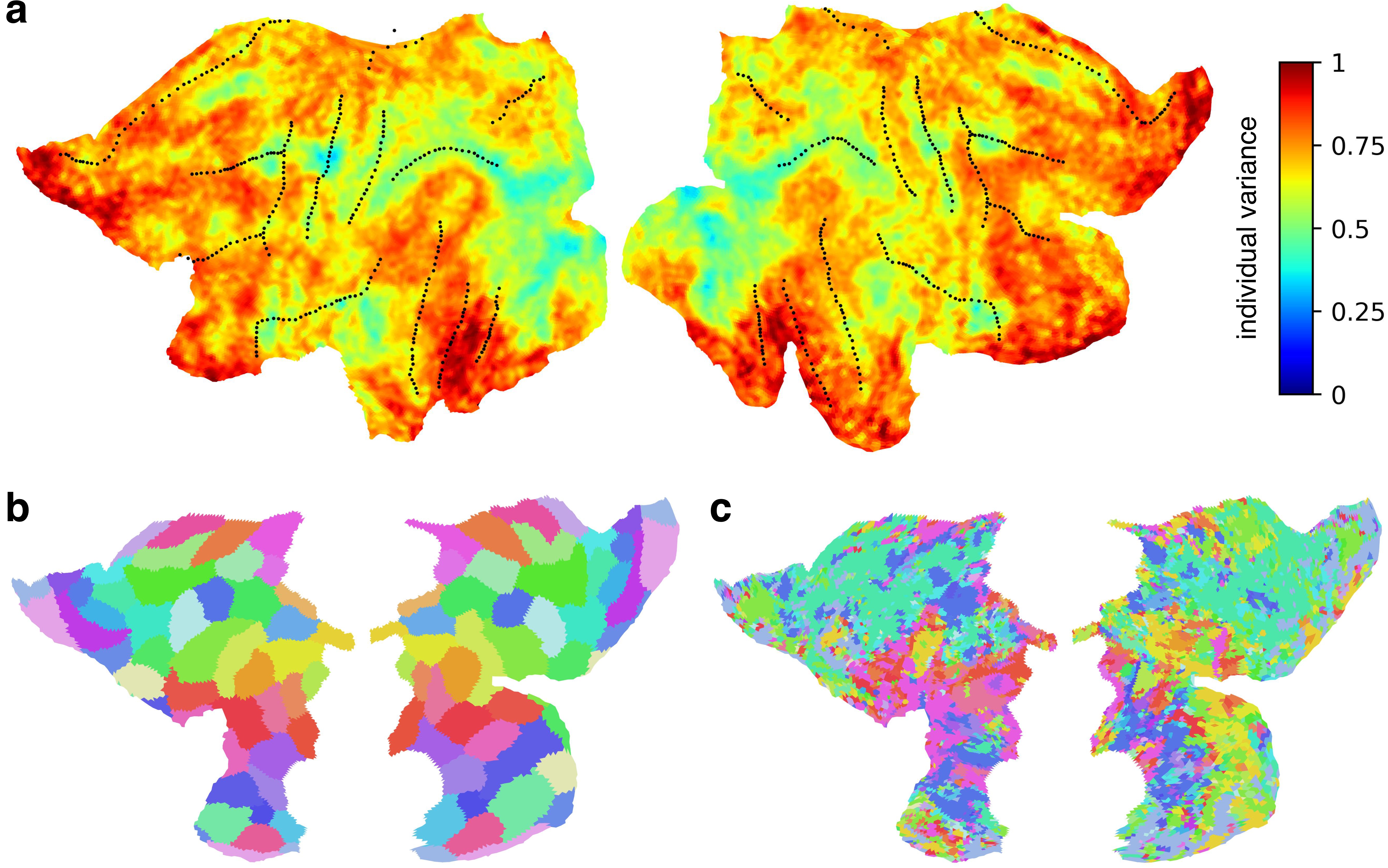 individualized_parcellation